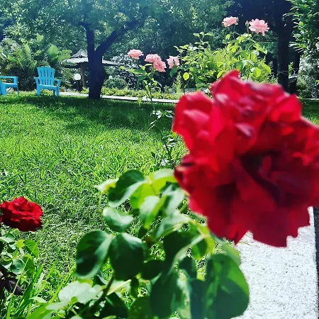 Parco Delle Rose Hotel 3*