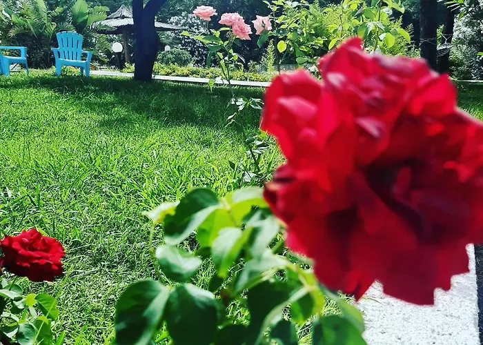 Parco Delle Rose Hotel 3*